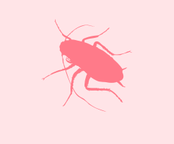 Icon of cockroach