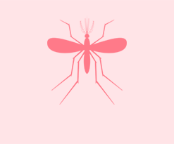 Icon of a mosquito