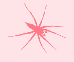 Icon of spider